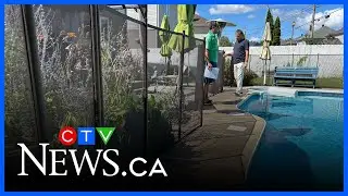 Pierrefonds residents frustrated as pool fences considered not up to code