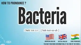 Bacteria Pronunciation | How to Pronounce (say) Bacteria CORRECTLY | Medical dictionary