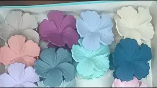 NY Collections.. hair accessories.. sport booking available