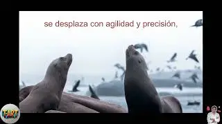 Top 5 Datos Asombrosos y Conocimientos Interesantes Sobre los Animales