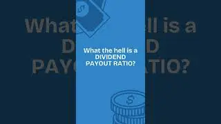 What is a DIVIDEND PAYOUT RATIO ?
