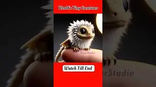 Tiny Creatures in Nature: The Secret Life of the Smallest Animals #arvarstudio #tinyworld #top5 #fyp
