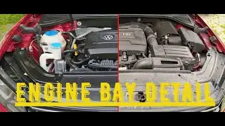Deep cleaning engine bay VW Passat at home