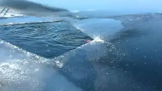 IJsduiken surfplas Goirle