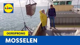 Mosselen | Oorsprong