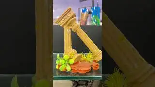 🐠 My Nature Aquatics - Best Aquarium & Pet Store in Pune | Fish, Birds & Accessories