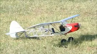 RC Zlin Savage Bobber