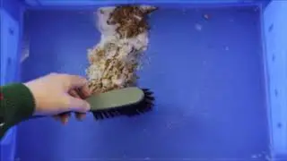 Body Fluid Spill Kit