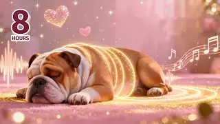 Love Resonates in Every Bark - Original Healing Music for Dogs & Humans 🌸