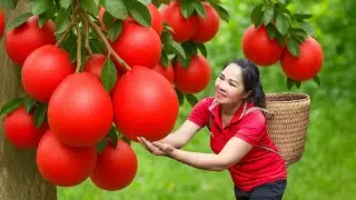 Harvesting Dao Duong Grapefruit & Go to Market Sell, Start to finish harvest with An Phu Daily Life