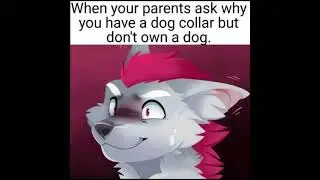 furry memes 19