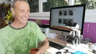 Checking if my Moldavite and crystals are genuine or fake, by Mark Bajerski