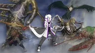 Playing an Elden Ring Randomizer With The WORST weapon.
