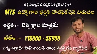 DSSSB MTS Recruitment 2025 Telugu| DSSSB Multi Tasking Staff Recruitment Full Details in Telugu| MTS