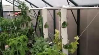 New Aquaponics Growbed online plus 3 Strawberry Towers! - Aquaponics