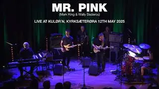 Holberg & Senri Kawaguchi - Mr.Pink (Live)