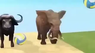 Funny kids cartoon video for babies 🤣#animalstory #animatedstory #animationvideo #viral #shorts 