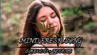 Mind Relax lofi girl mood song / ऑल पब्लिक के लिए मएंड रिलेक्स लॉफ सॉन्ग 