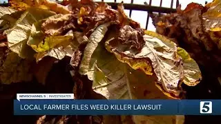 Controversial weed killer pits farmer against farmer, attorney says