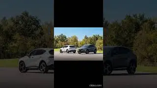 Nuova Alfa Romeo Tonale 2026 e 33 Stradale prezzi prestazioni e lusso da sogno negli USA #stellantis