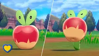 HOW TO GET Applin in Pok&eacute;mon Sword and Shield