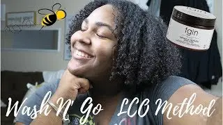 Wash N' Go | LCO Method | TGIN REPAIRX Leave-in & Curl Food