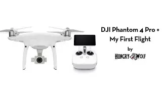 DJI Phantom 4 Pro Plus First Flight Test Obsidian Edition 2018