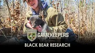 Black Bear Research