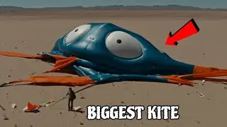 Biggest Kite Flying Challenge - किसकी पतंग सबसे अच्छी उड़ेगी | With Team @MRINDIANHACKER 