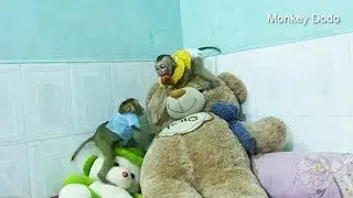 Baby Dodo To Prevent Mori Try To Take Fruit From His, Dodo And Mori Funny Playing