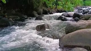 🌙 Sons de rivi&egrave;re pour sommeil profond &ndash; Eau douce toute la nuit