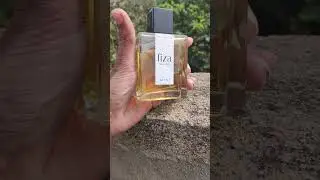 FIZA perfumes AVENT budget alternative to Creed Aventus 👑