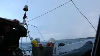RDA экспедиция IR 2020