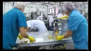 ОБОРУДОВАНИЕ АВТОМАТ МАШИНА УПАКОВКИ  ФАСОВКИ В ЛАМИСТЕР -Нежные паштеты