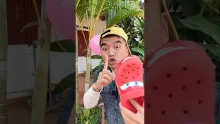 OMG Super Giant SPIDER 🕷️🕸️🦎 in room #shorts by Super Max