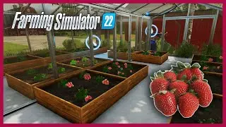 Balya ve Seraciliga Adim #3 // Farming Simulator 22