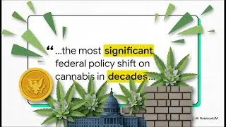 CBD News: Presidential Cannabis Order