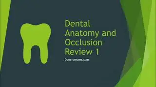 300 Dental Anatomy Facts- High Yield #1 INBDE