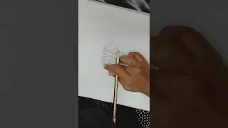 This is my first video. subscribe my channel i worked hard for it.