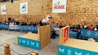 Farshad Birthday | Parkour and Freerunning 2019 | Enigma