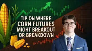 Совет Эзры о том, куда могут двигаться фьючерсы на кукурузу 📈