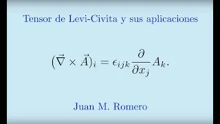 Tensor de Levi-Civita.