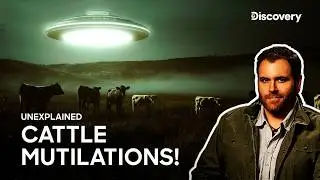 The Mysterious Oregon Death Ranch! | Expedition X | Discovery Channel