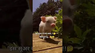 Kaisa haire tu 🤣🤣 #funny #meme #friends