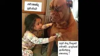 Sl NethTv Comedy 13