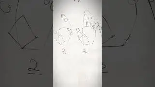 Easy Steps Hand Anatomy #handanatomy #drawinghand #basicdrawinglessonsforbeginners