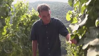 Vorschau 4finest Sofa-Weinprobe mit Rainer Schneider vom Weingut Stein / Nahe