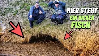 Mit K&ouml;derfisch am Polder. Welcher Fisch versteckt sich vor dem Rohr unter dem Dreck?