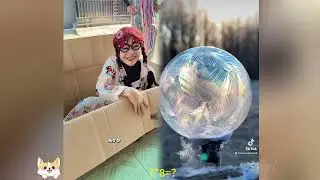 🤣👌👌👌2026 pov Must-Watch Crazy Clips Compilation #humor #fypシ #pov #fyp #foryou 😍😜