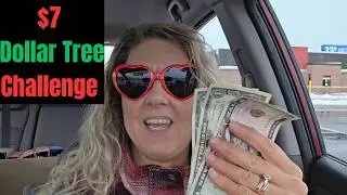 Dollar Tree $7 Budget Valentine's Haul for Teens